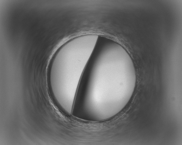 X0000052630008200507011046