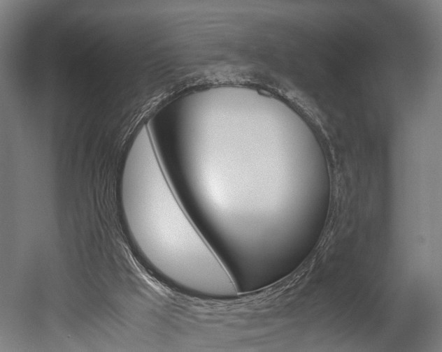 X0000052630009200507011046