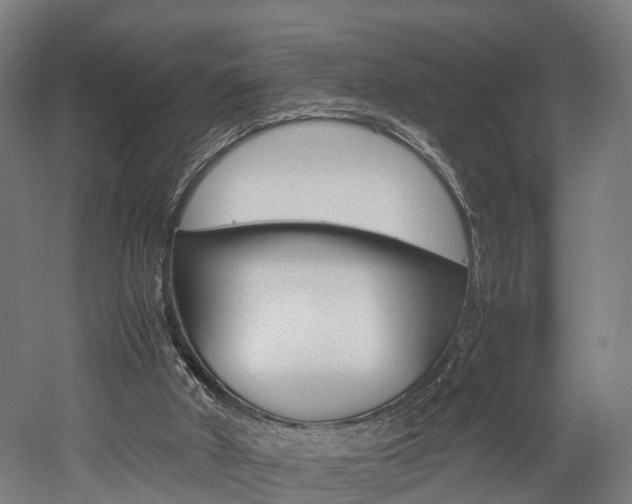 X0000052630010200507011045