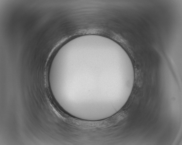 X0000052630012200507011045