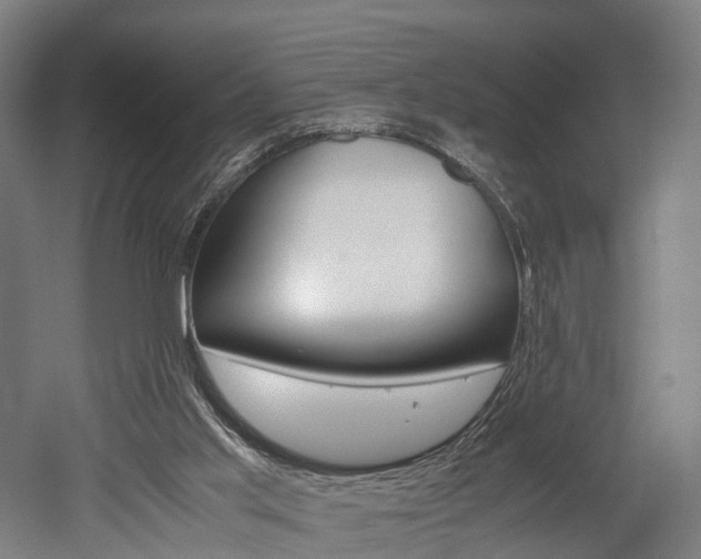 X0000052630013200507011045