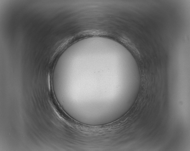 X0000052630014200507011045