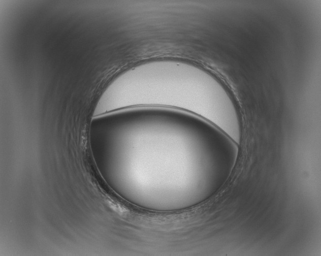 X0000052630017200507011045