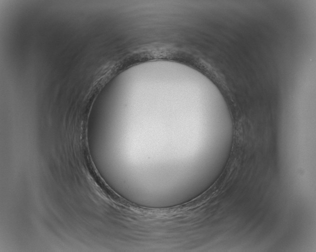 X0000052630018200507011045