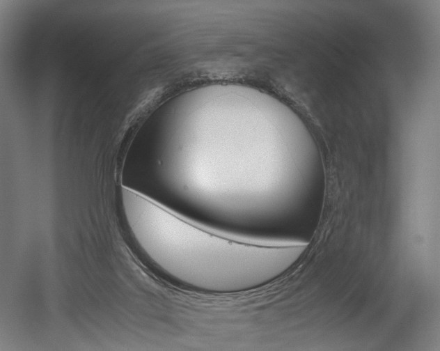 X0000052630019200507011045