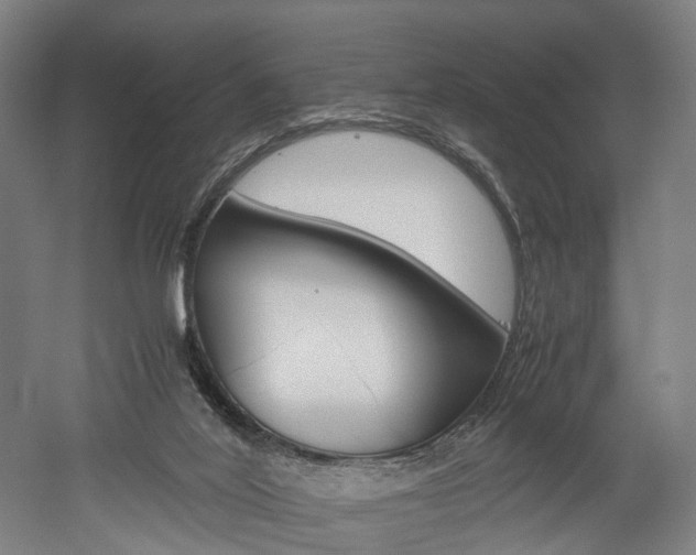 X0000052630020200507011045