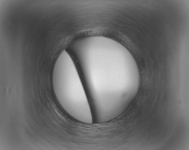X0000052630022200507011045