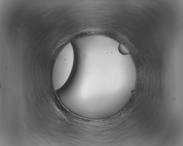 X0000052630024200507011045
