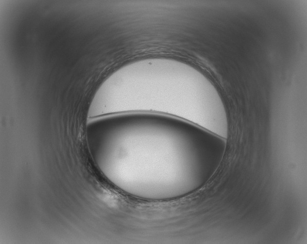 X0000052630025200507011045