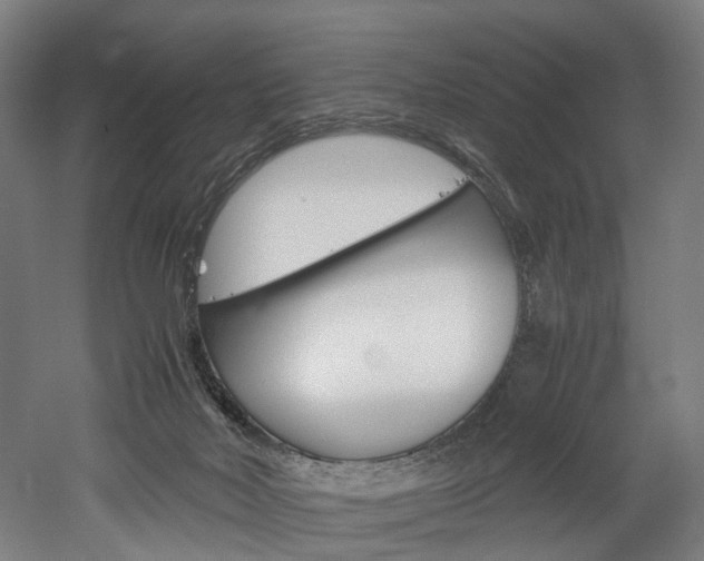 X0000052630026200507011045
