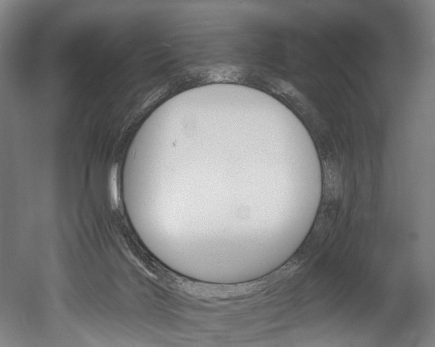 X0000052630028200507011045