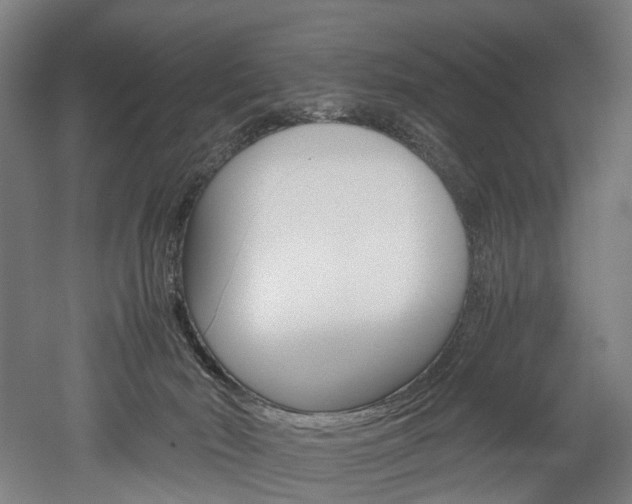X0000052630030200507011045