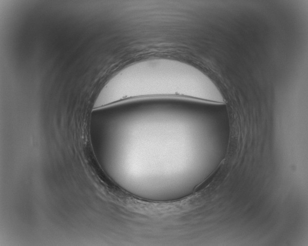 X0000052630031200507011045