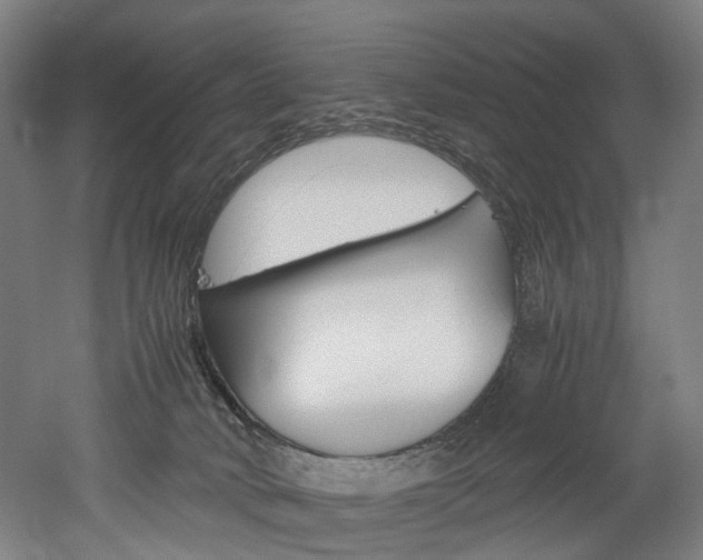 X0000052630034200507011045