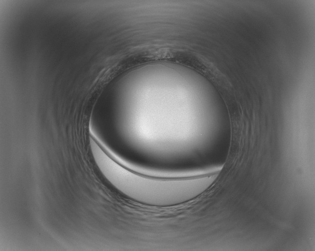 X0000052630035200507011045