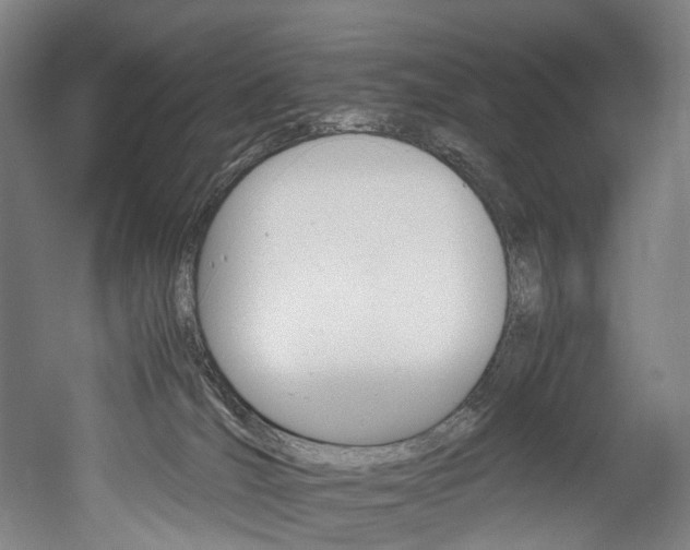X0000052630036200507011045