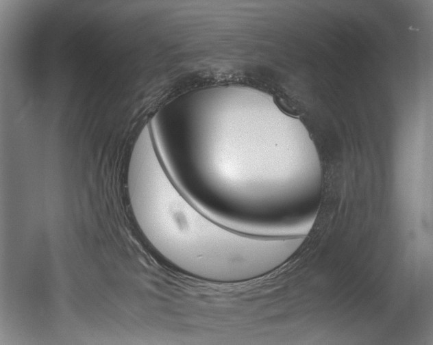 X0000052630039200507011045