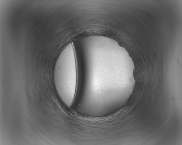 X0000052630040200507011045