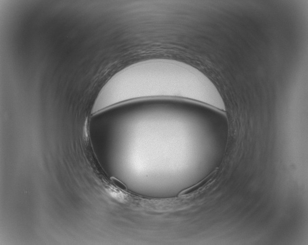 X0000052630041200507011045
