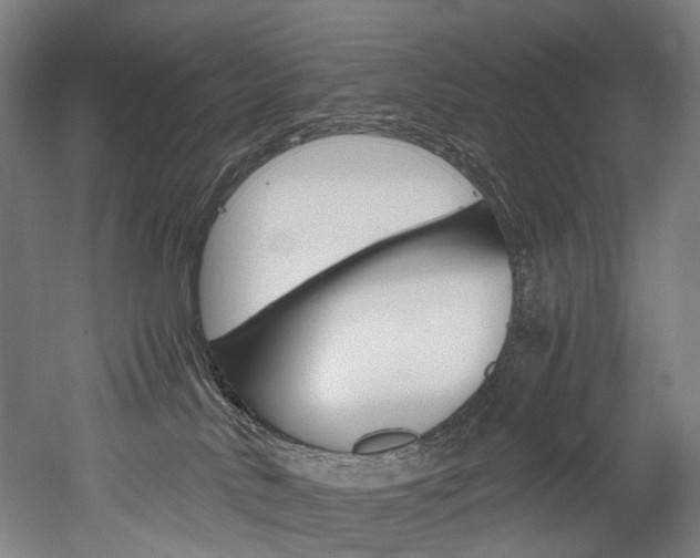 X0000052630042200507011045