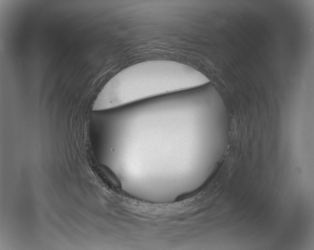 X0000052630043200507011045