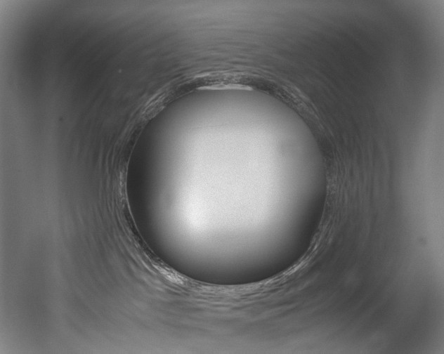 X0000052630045200507011045