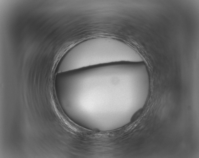 X0000052630049200507011044