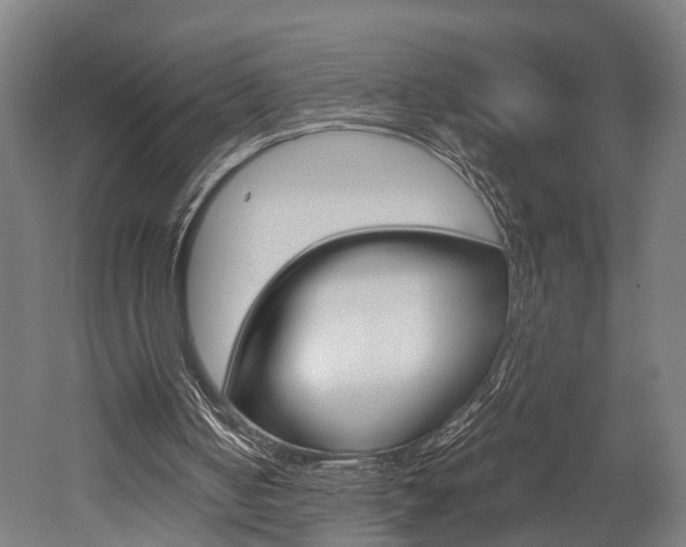 X0000052630050200507011044