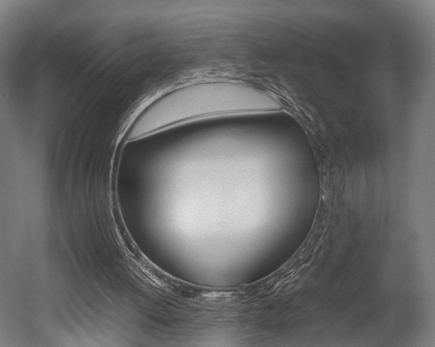 X0000052630052200507011044