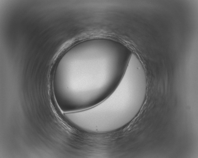 X0000052630054200507011044