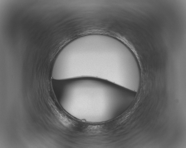 X0000052630057200507011044