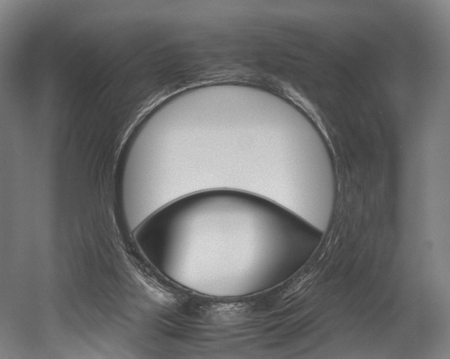 X0000052630059200507011044