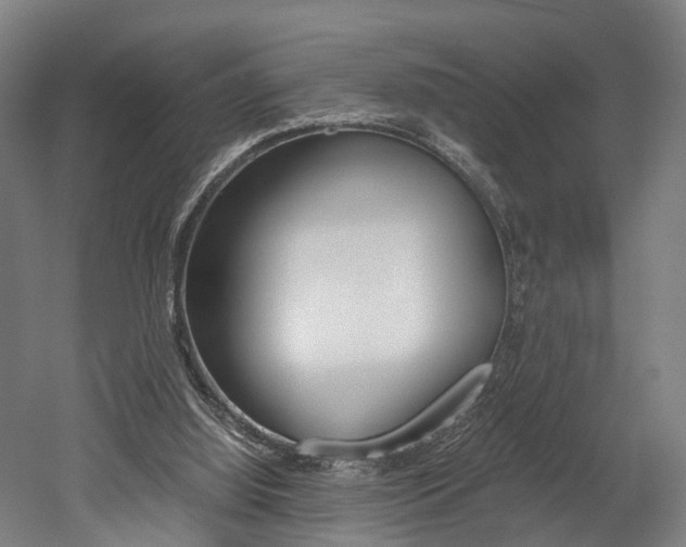 X0000052630060200507011044
