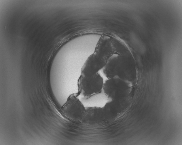 X0000052630061200507011044