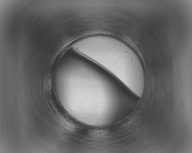 X0000052630063200507011044