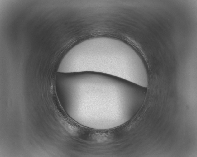 X0000052630065200507011044