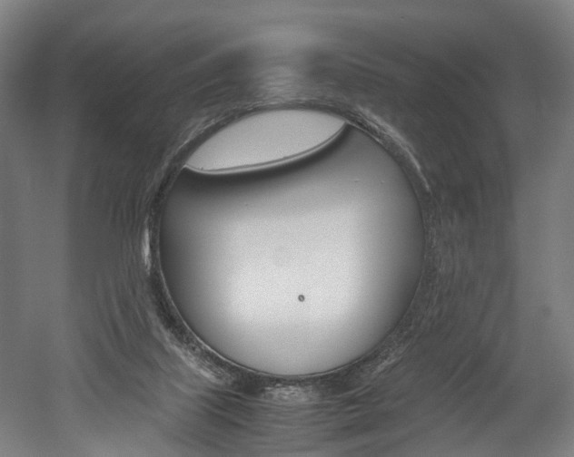 X0000052630067200507011044