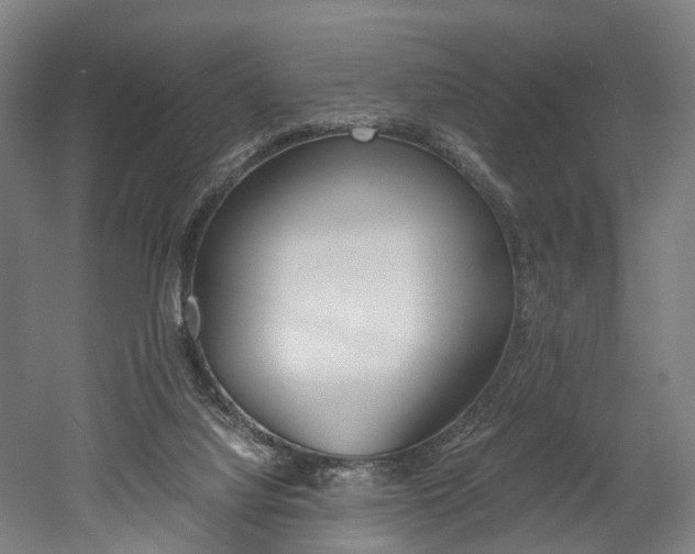 X0000052630068200507011044