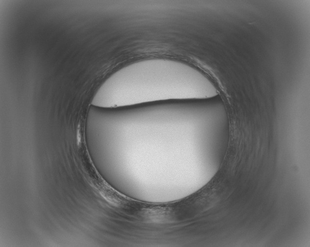 X0000052630069200507011044