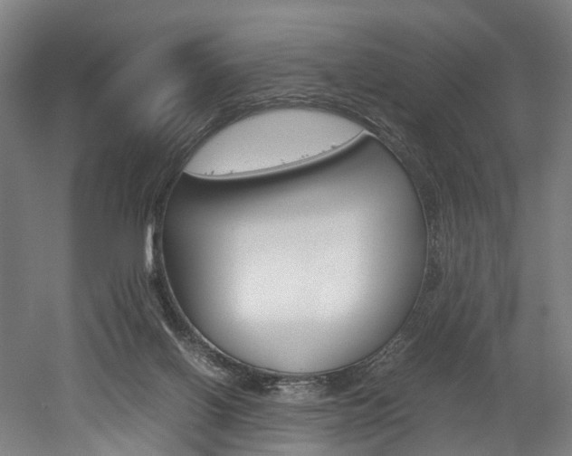 X0000052630070200507011044
