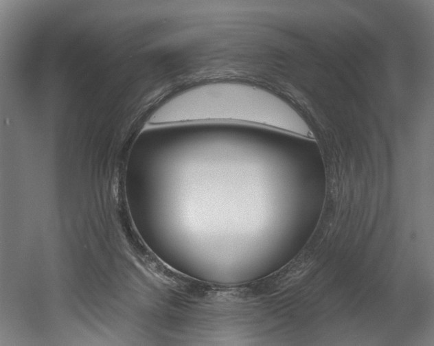 X0000052630072200507011044