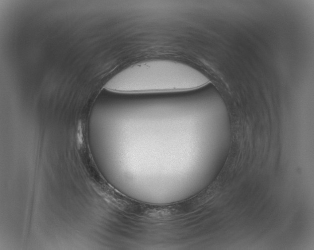 X0000052630075200507011044