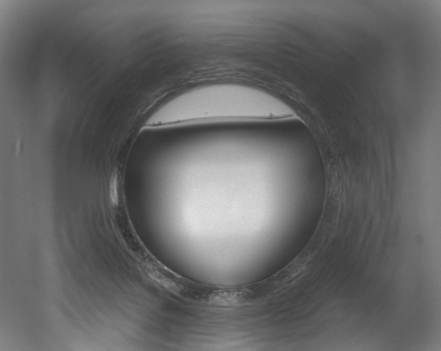 X0000052630076200507011044