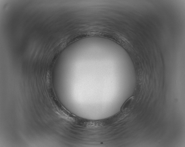 X0000052630077200507011044