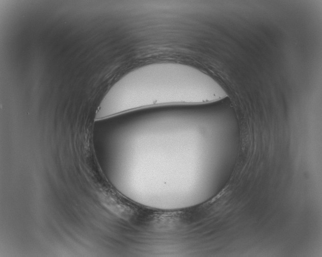 X0000052630078200507011045