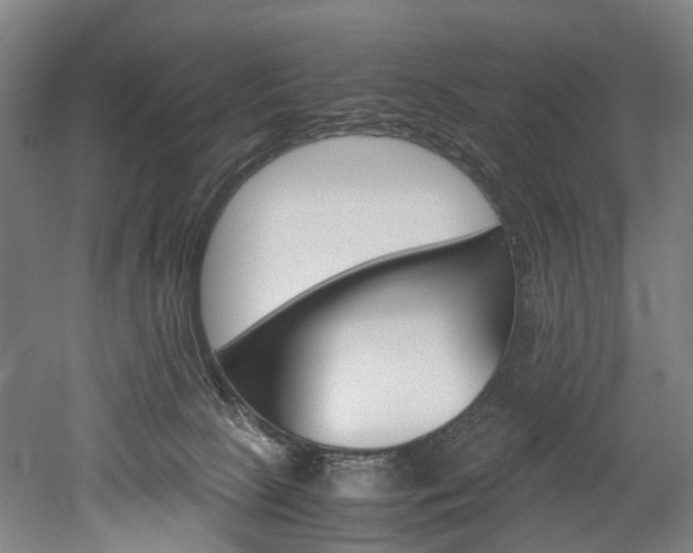 X0000052630081200507011045