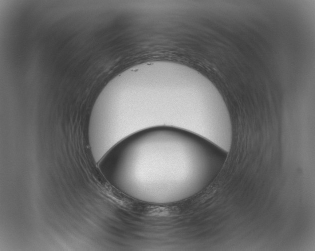 X0000052630083200507011045