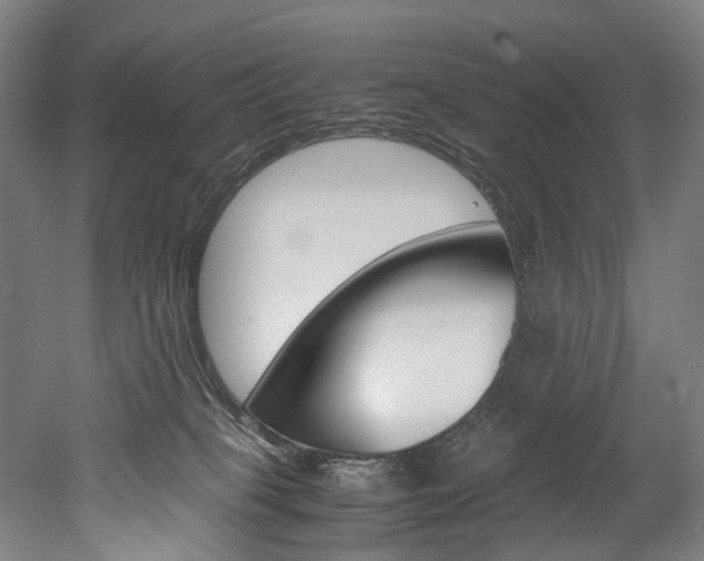 X0000052630085200507011045