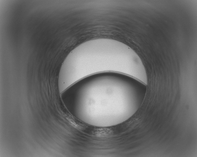 X0000052630087200507011045