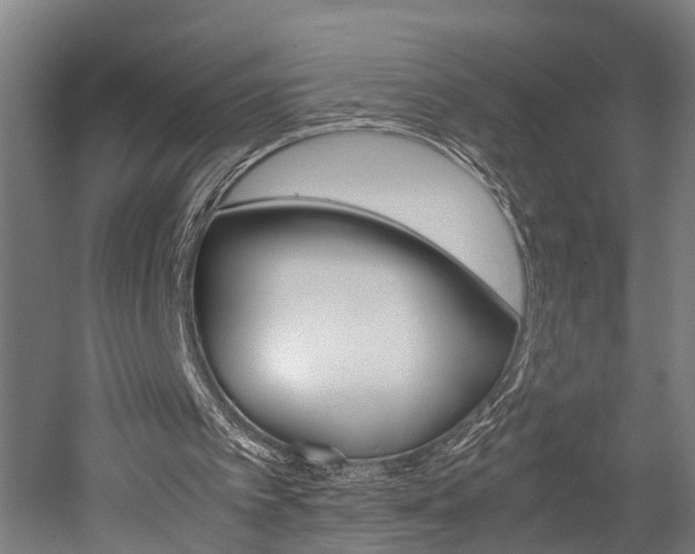 X0000052630097200507011044